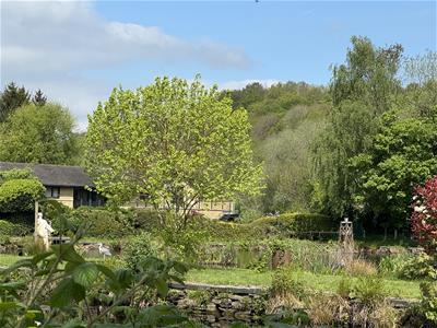 Picture 20